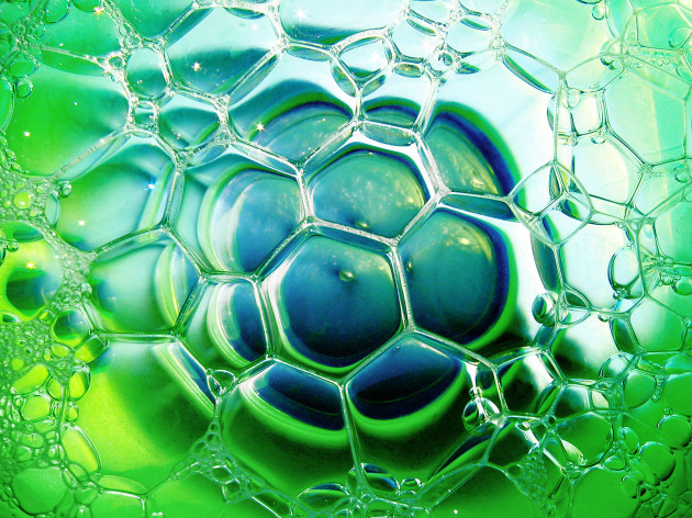 Биотопливо можно получать очищая воду от тяжелых металлов 