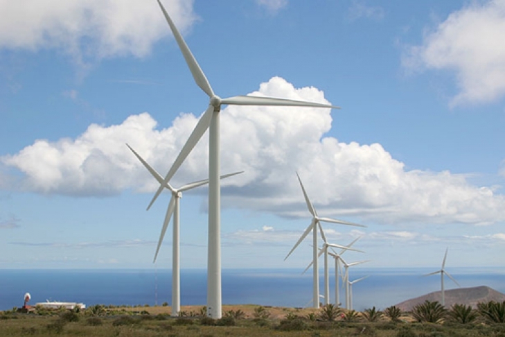 Власти Крыма планируют модернизировать все ветряные электростанции