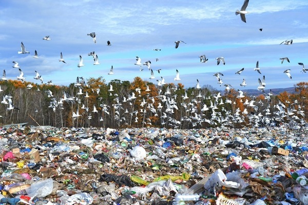 Росприроднадзор проверит все мусорные полигоны в стране