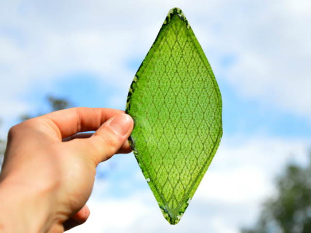 Японская компания создала «умный дом» с искусственным фотосинтезом