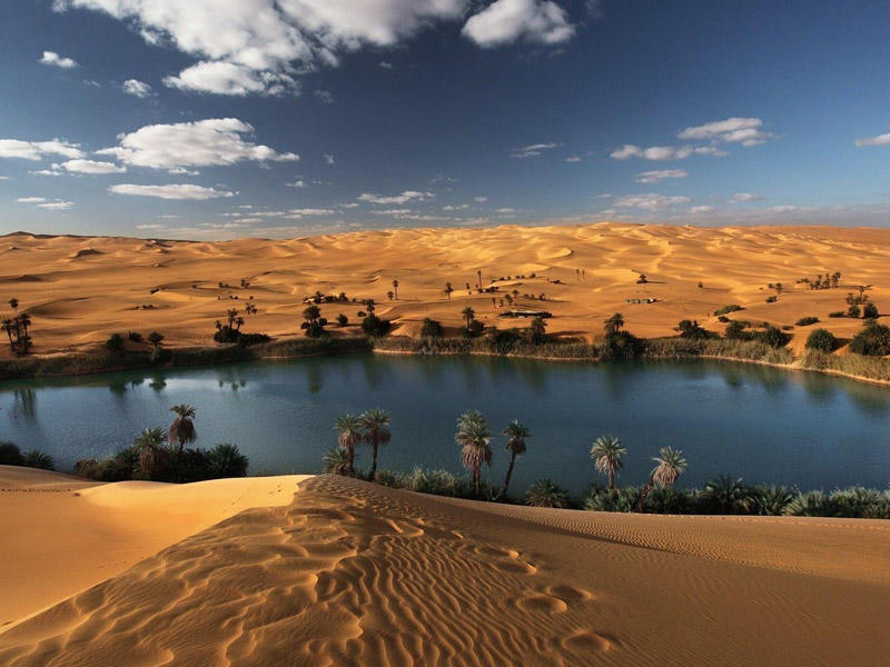Крупные СЭС и ВЭС в Сахаре принесут в пустыню дожди и богатую флору