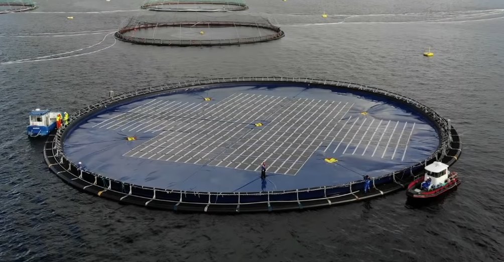 Инновационную плавучую солнечную электростанцию Ocean Sun испытают в Албании