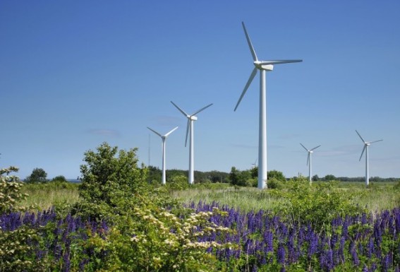 Первый этап по развитию ветроэнергетики в Ульяновской области реализует компания Fortum