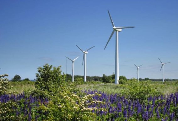 Ульяновская область планирует построить ветропарки суммарной мощностью 250 мегаватт