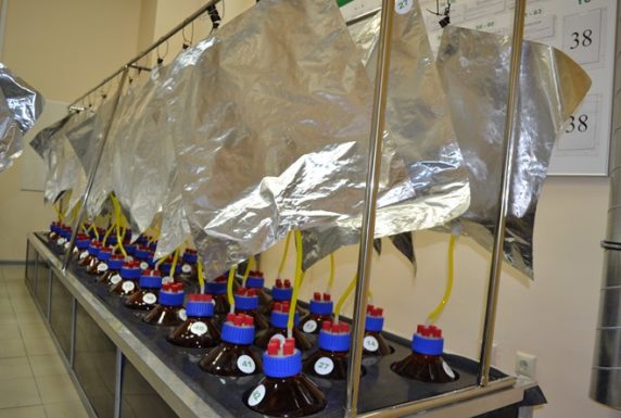 В Лаборатории БИАЭ стартует новый эксперимент для биогазовых станций