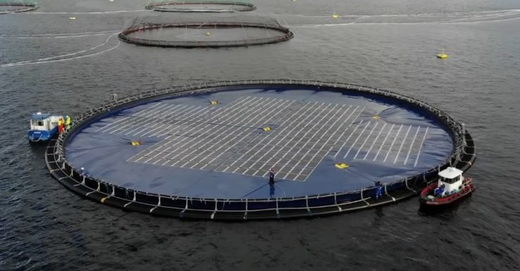 Инновационную плавучую солнечную электростанцию Ocean Sun испытают в Албании