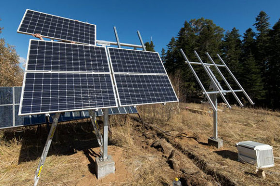Установка солнечных панелей на сельхозугодьях покроет спрос на электричество в мировом масштабе