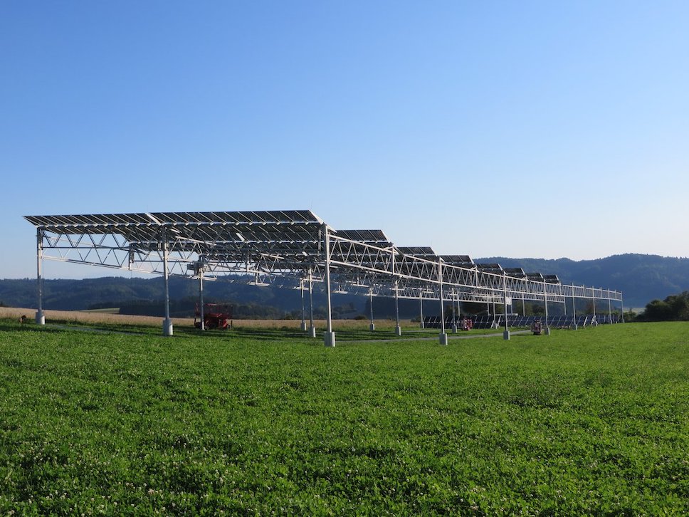 Европа делает ставку на агрофотовольтаику - комбинацию солнечной энергетики и сельского хозяйства