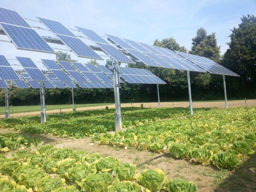 Исследования солнечной энергии от UMD для сельского хозяйства США