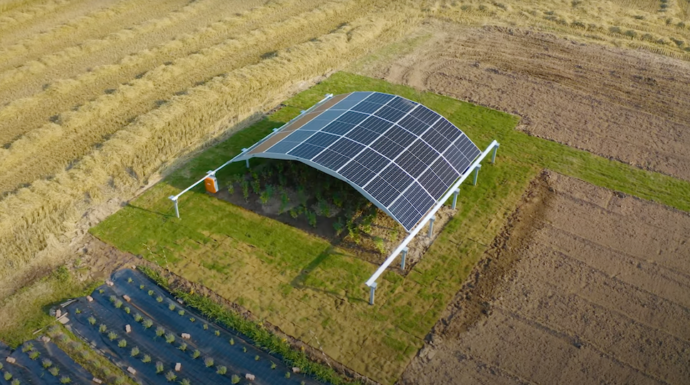 Солнечная арка MarcS сделает агровольтаику эффективнее (Видео)